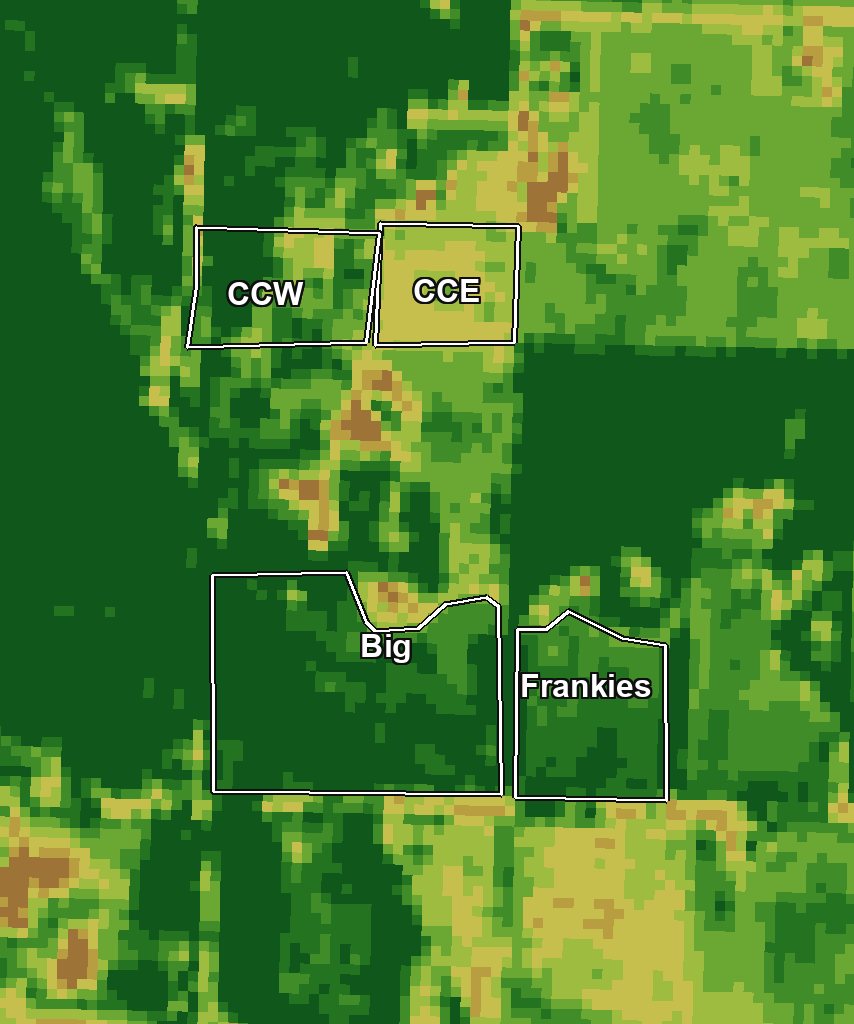Example satellite grass reading of Matt's paddocks: Big and Frankie's reading ready to graze